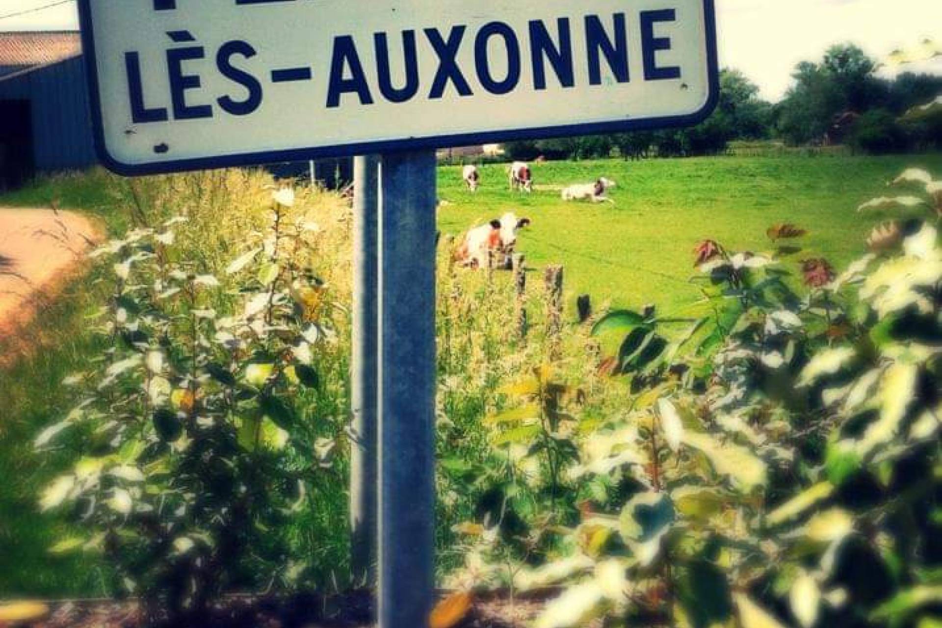 Image de la commune