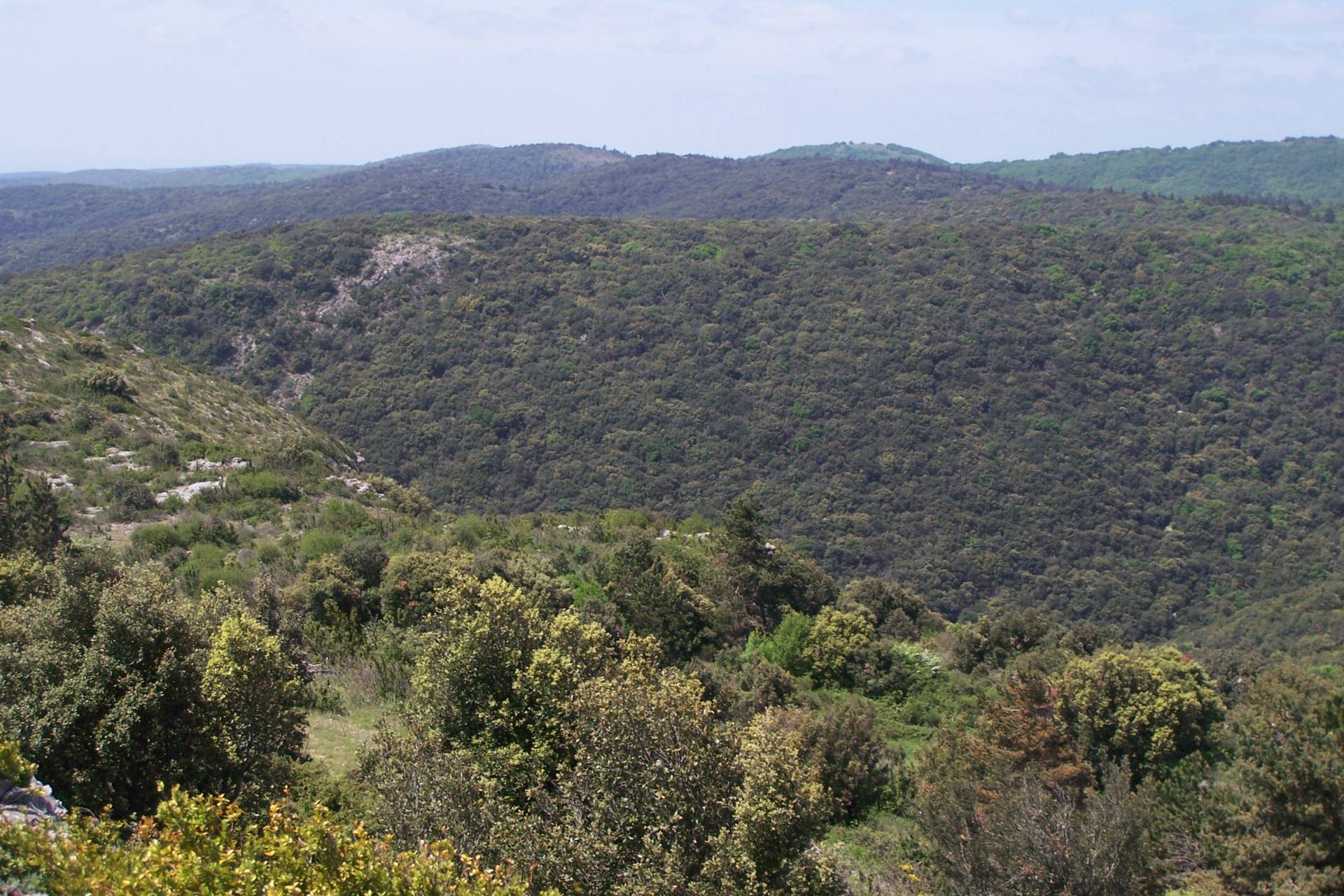 Image de la commune