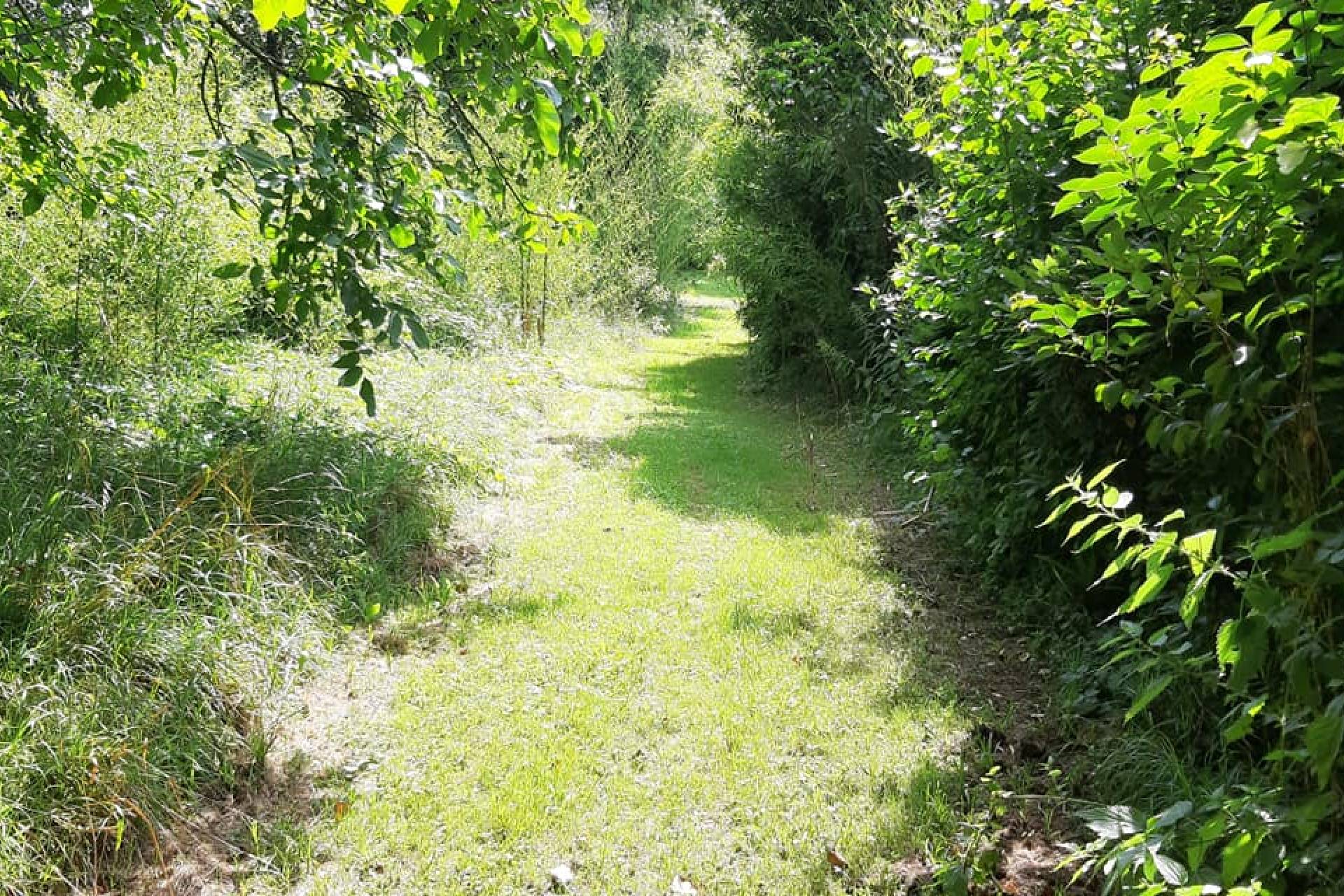 Image de la commune
