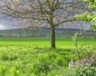Image de la commune