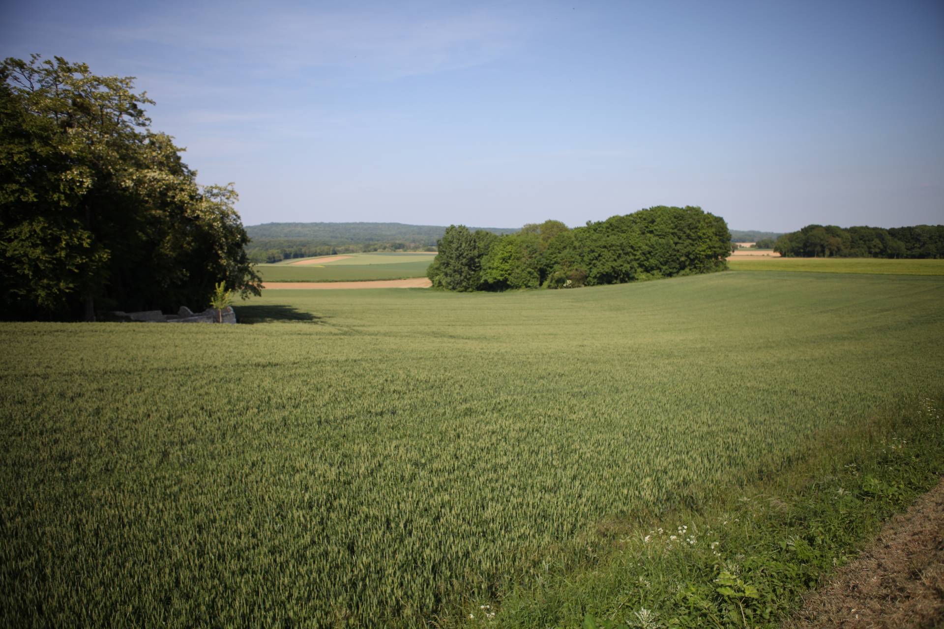Image de la commune